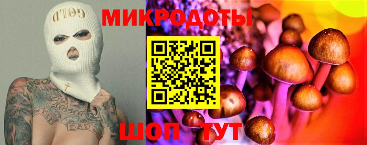 Галлюциногенные грибы MAGIC MUSHROOMS  Вход с VPN  Советская Гавань 